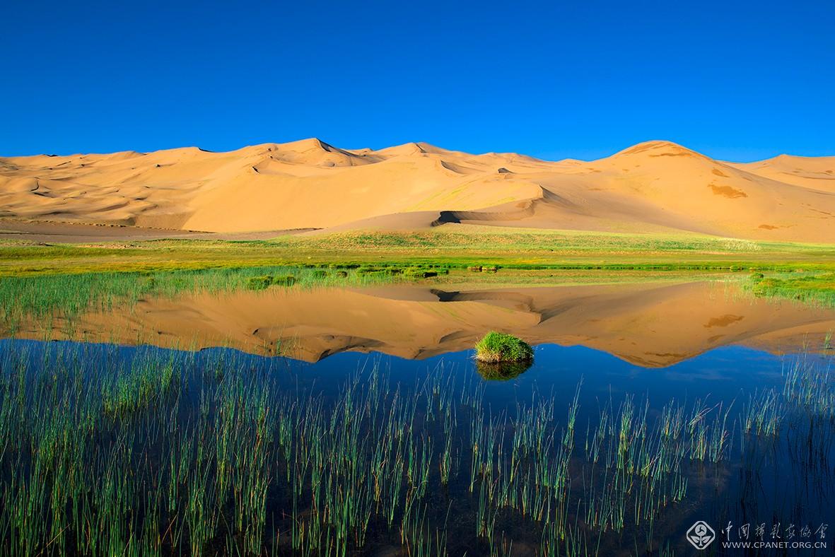 阿尔金高原祁漫塔格沙漠湿地  摄影：李益川-180乘以120.jpg