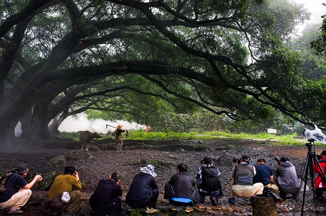 20 2014年5月15日,霞浦大榕树下摄影组织者在树后点燃烟饼,制造晨雾