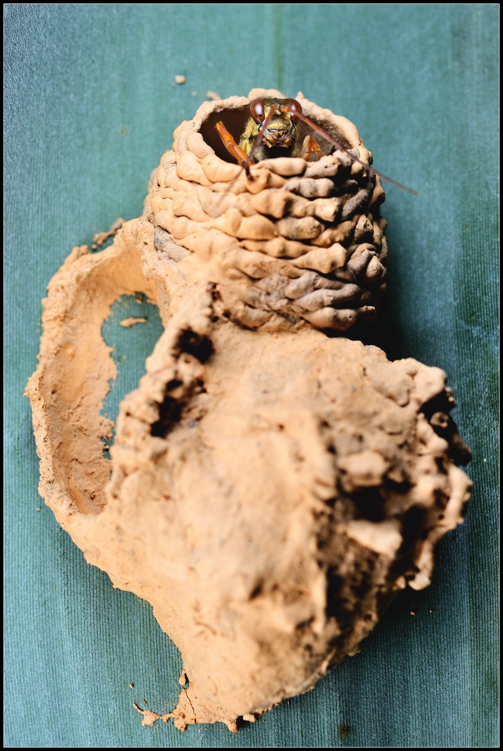 DSC_59692.jpg DSC_59692.jpg