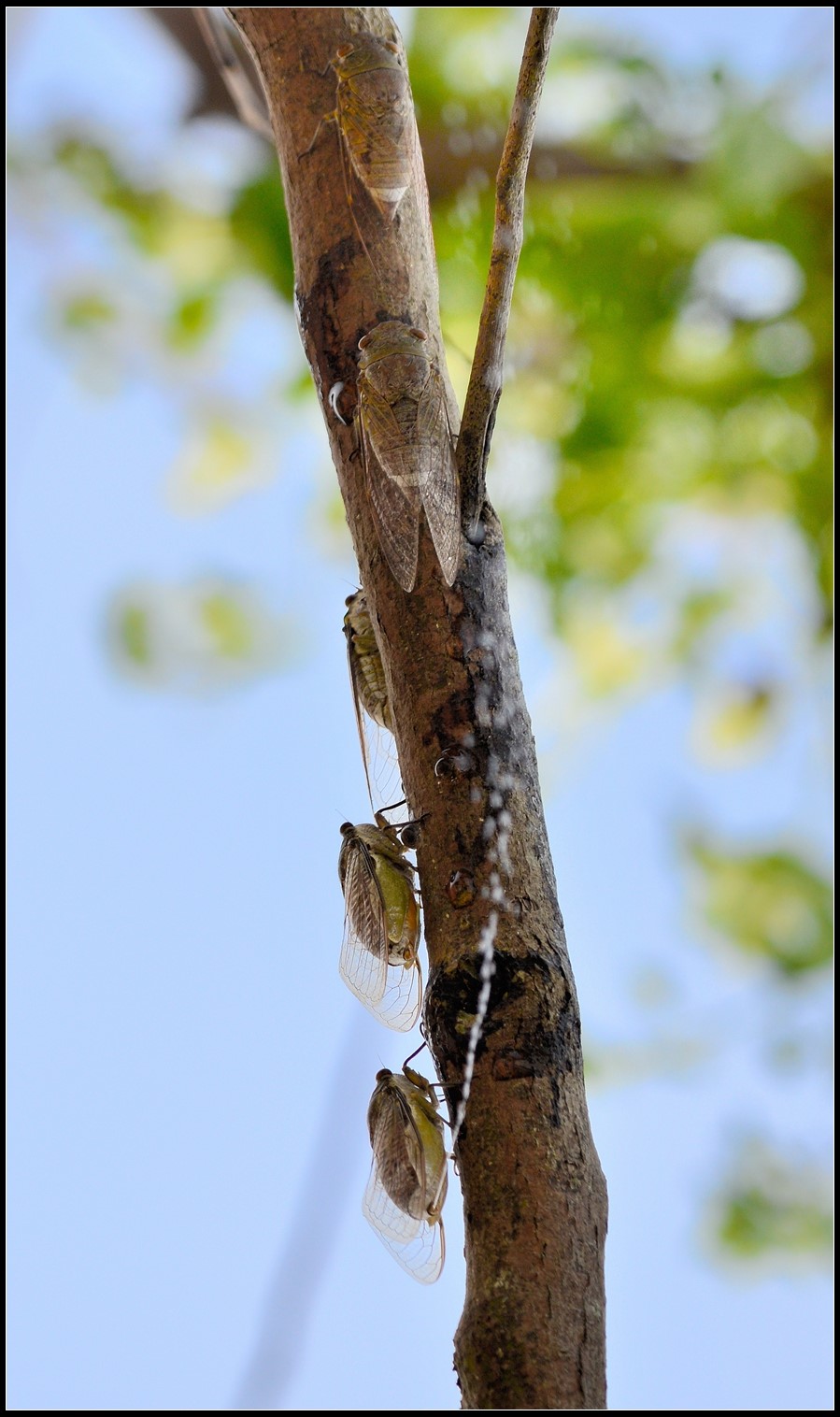 DSC_5339.jpg DSC_5339.jpg