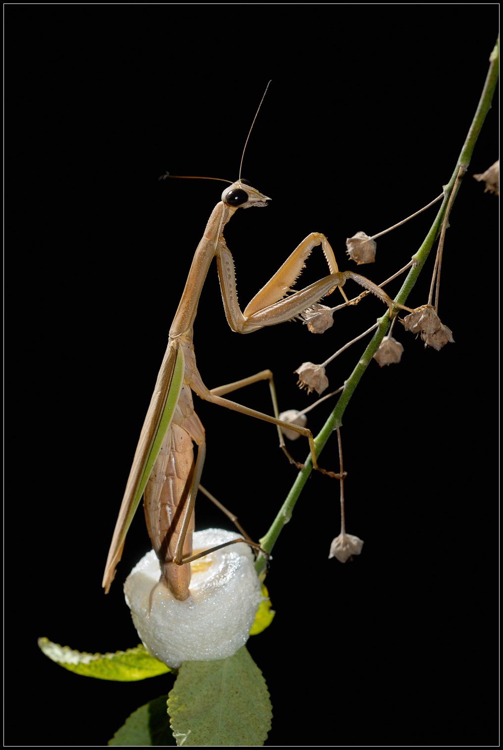 DSC_0164rfr.jpg DSC_0164rfr.jpg