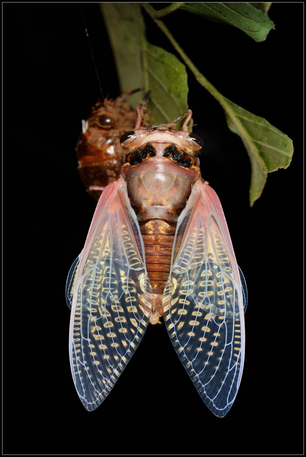 DSC_3912.jpg DSC_3912.jpg