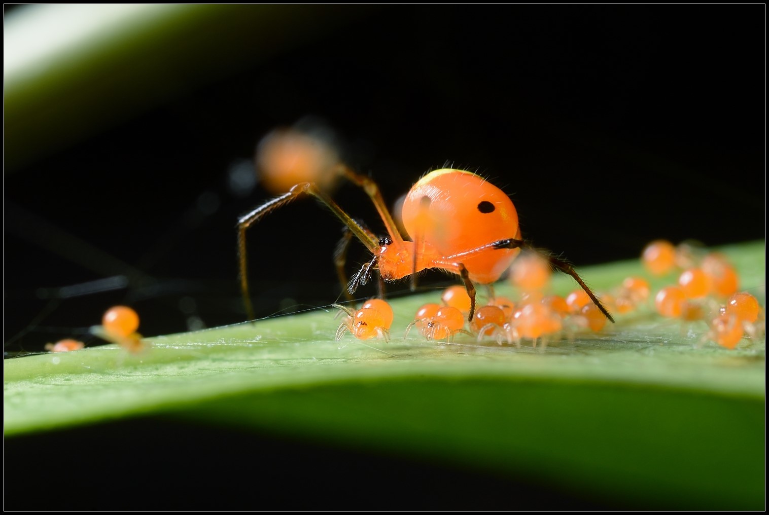 DSC_2155.jpg DSC_2155.jpg