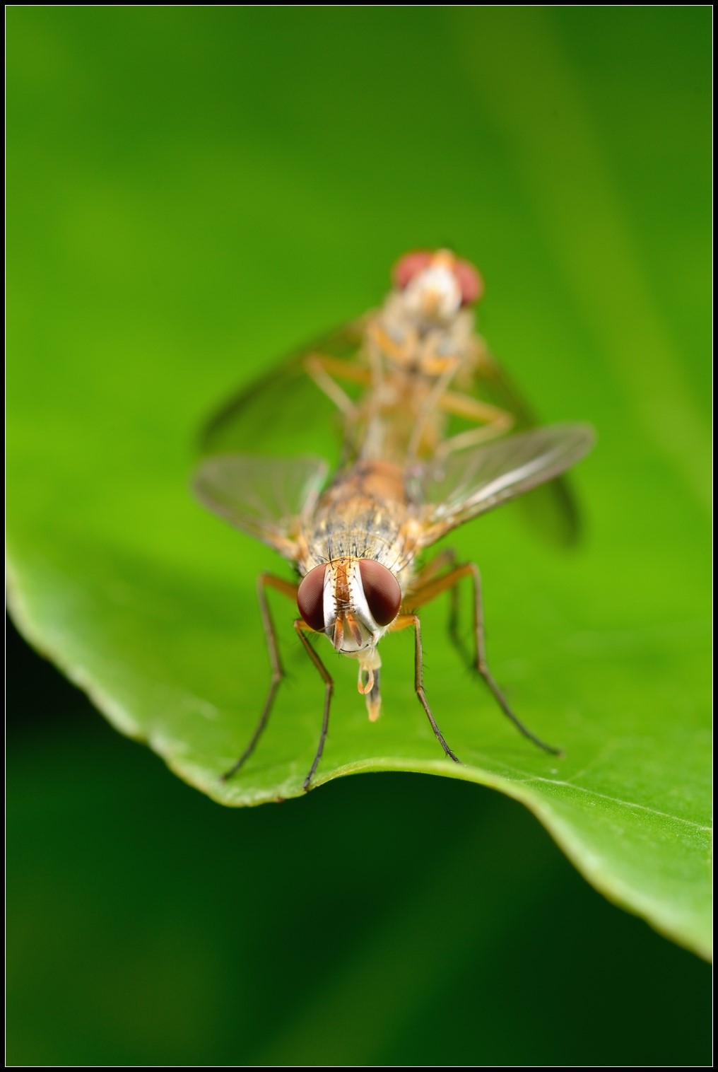 DSC_5675.jpg DSC_5675.jpg