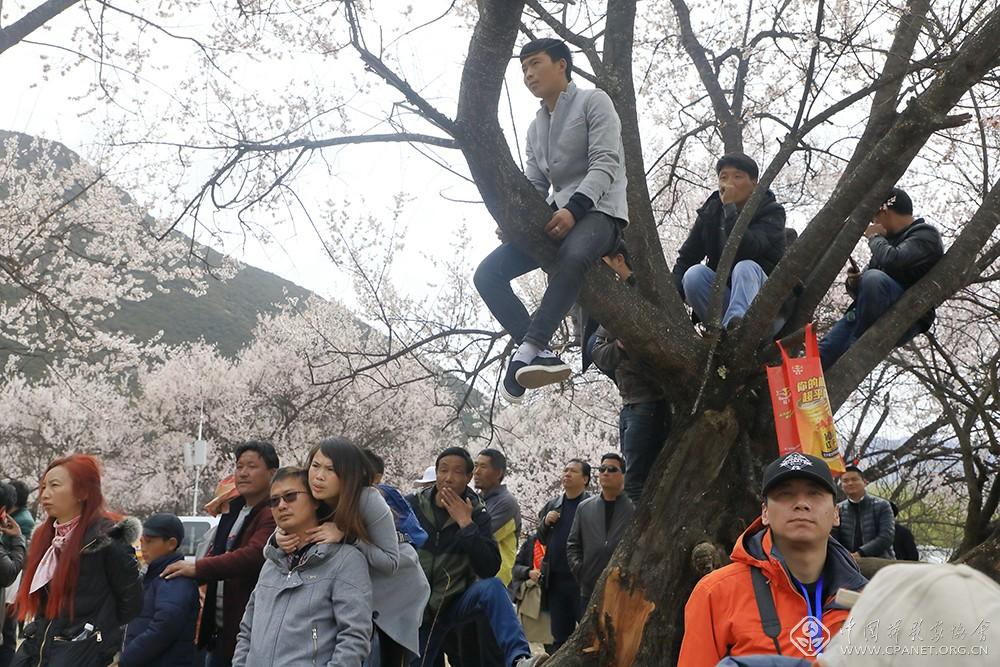 林芝桃花节开幕式——杨越峦摄.JPG