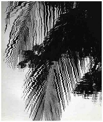 REFLECTIONS HAWAII 1978.jpg