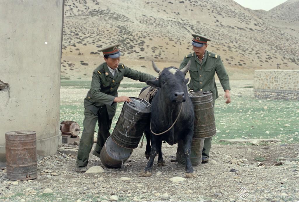 岱天荣-.jpg 岱天荣-.jpg