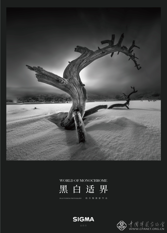 image001.png image001.png