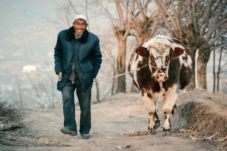 《老有所“依”》摄影：@夜SKYline 甘肃省和政县，一个国家级贫困县，也是一个多民族聚居的地方。因本地条件有限，当地年轻人大多选择了外出务工，只留下老人在家与牛羊和田地为伴。图中的回族老人，即便自己过得困苦些，也还是将一直陪伴他牛喂得十分壮实。老人瘦弱的身躯和牛圆滚的肚子形成了强烈的对比，令人深思。来自一个都不能少中国扶贫公益摄影大赛.jpg