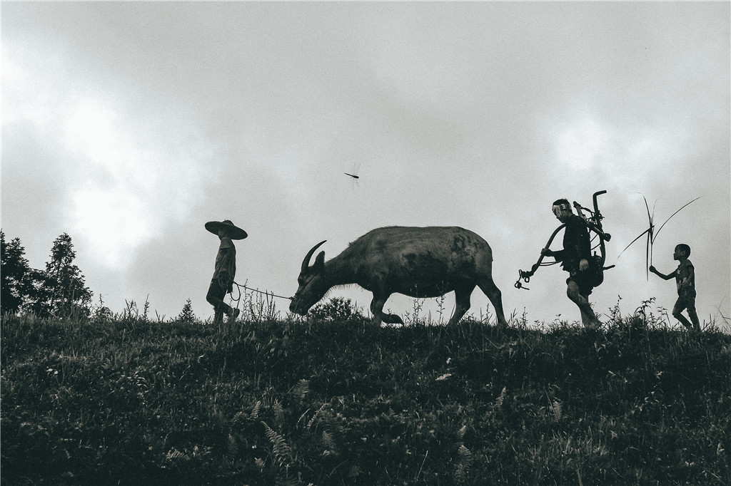 15-《出工》 摄影:肖中婷(侗族)光影助学工程三校区高中二年级.JPG