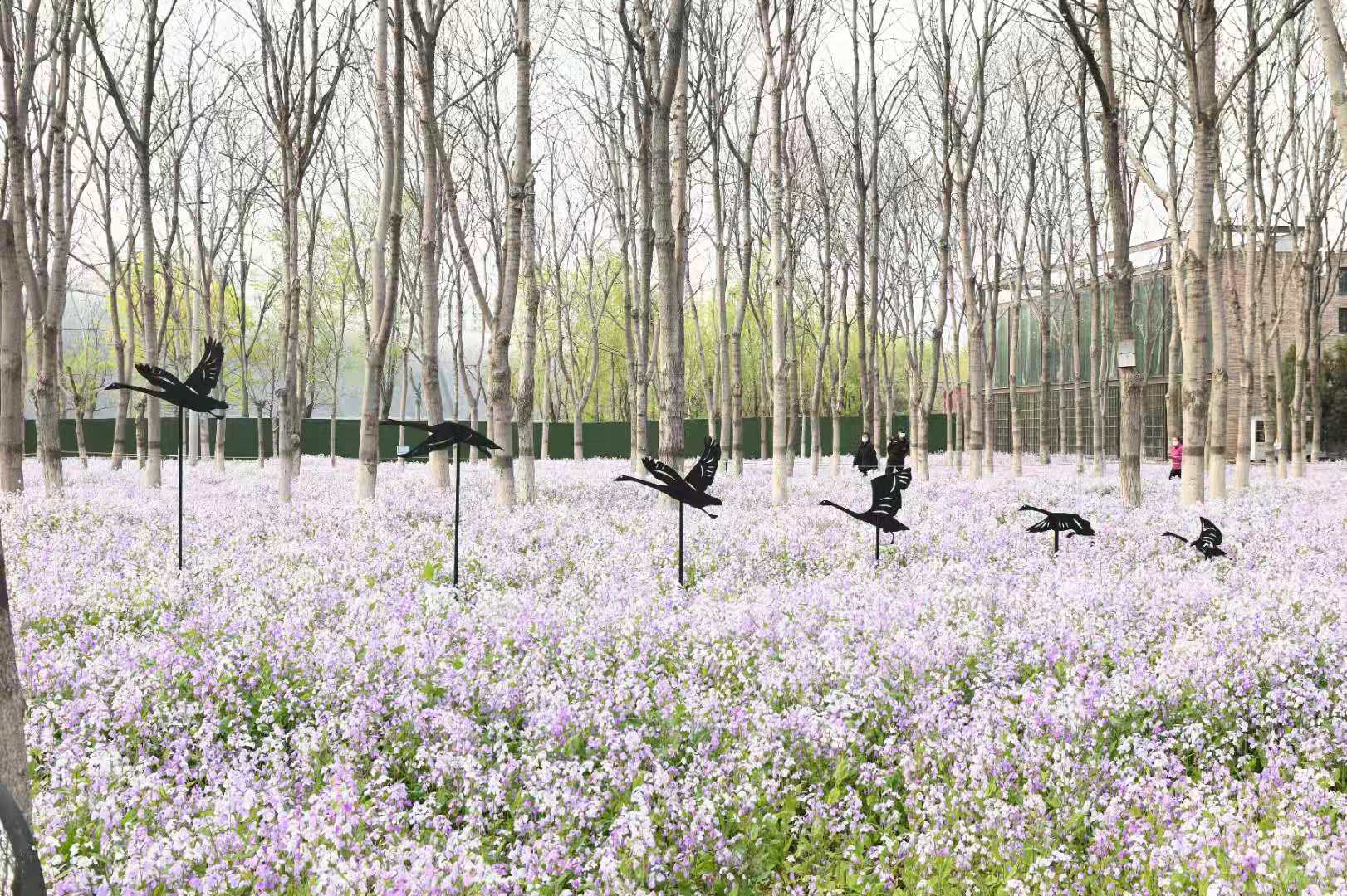 微信图片_20210412114426.jpg 微信图片_20210412114426.jpg