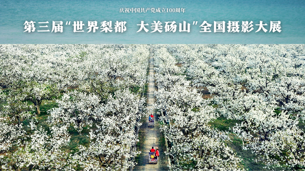 三届砀山.png