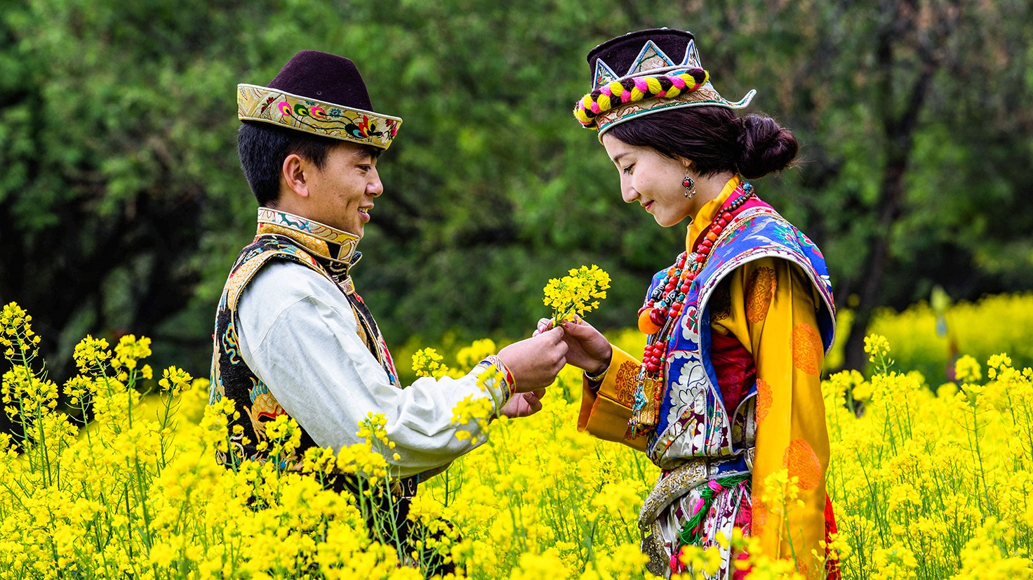 工布之恋.jpg 工布之恋.jpg