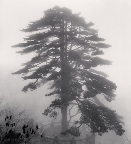 大家名作】迈克尔·肯纳作品《黄山》--中国摄影家协会网